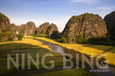 Ning Bing, Vietnam
