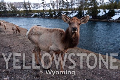 Yellowstone, Wyoming